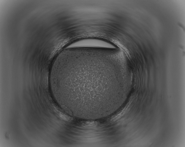 X0000091330493200708241204