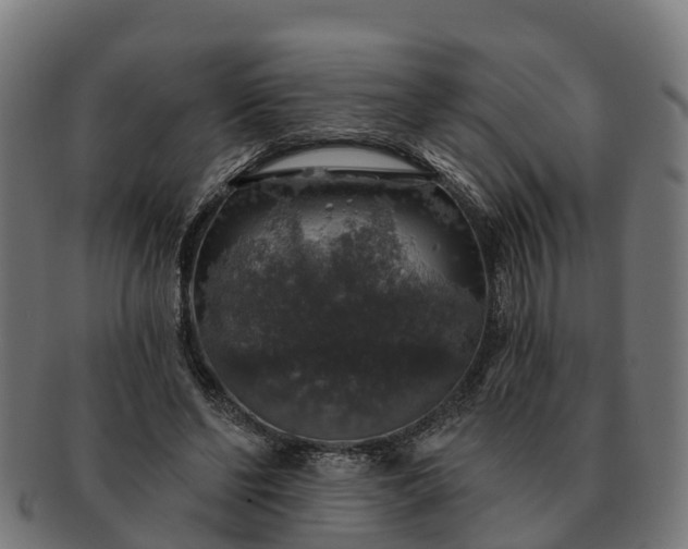 X0000091330494200708241204