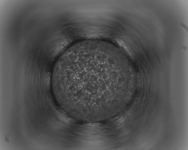 X0000091330495200708241204