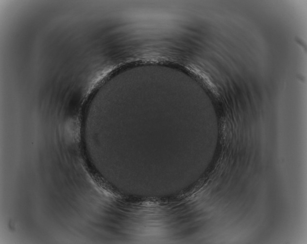 X0000091330496200708241204