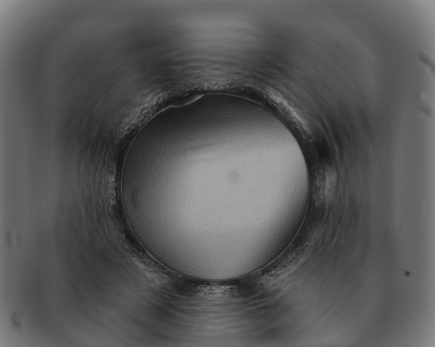 X0000091330497200708241204