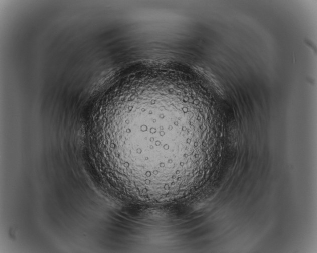 X0000091330498200708241204