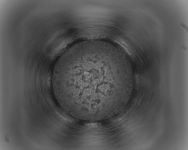 X0000091330499200708241204