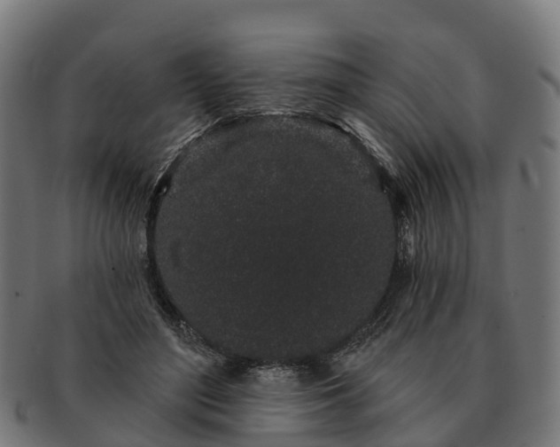 X0000091330500200708241204