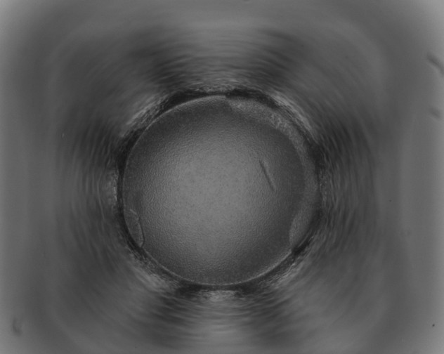 X0000091330501200708241204