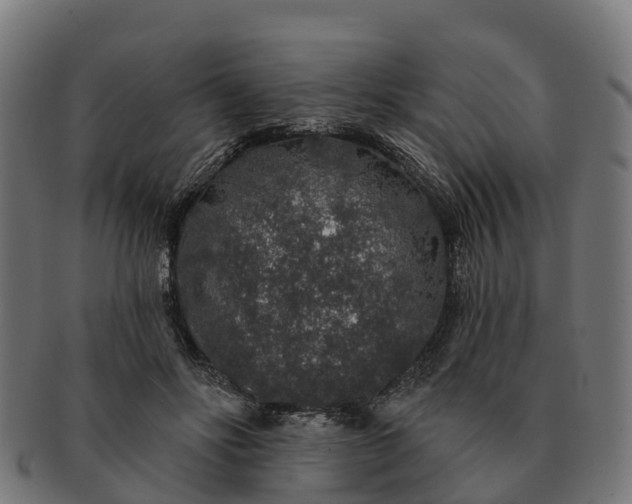 X0000091330502200708241204