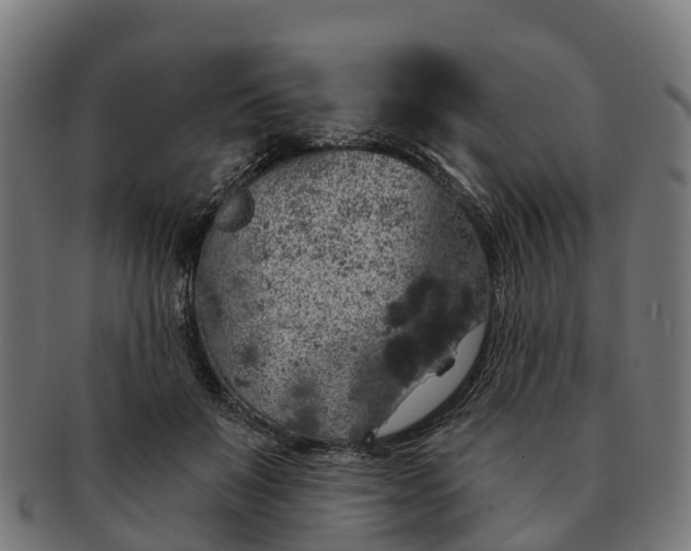 X0000091330503200708241204