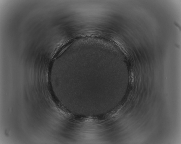 X0000091330504200708241204