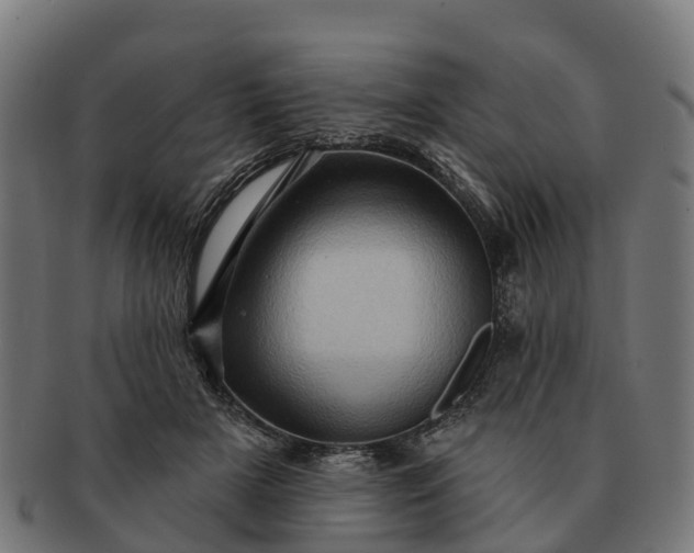 X0000091330505200708241204