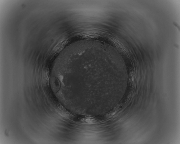 X0000091330506200708241204