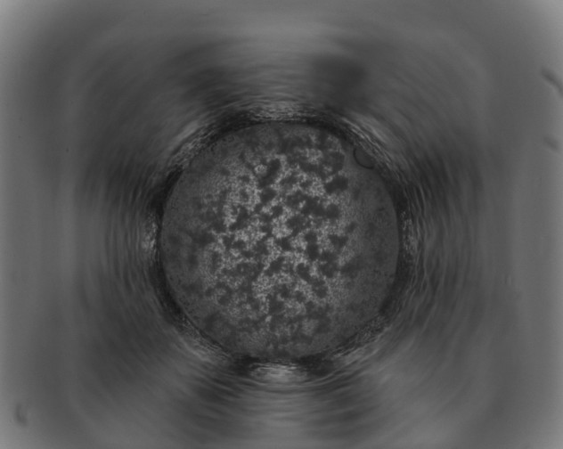 X0000091330507200708241204