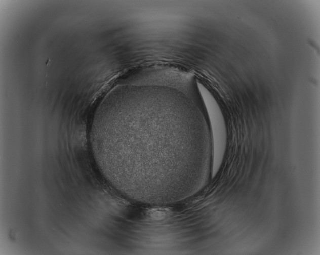 X0000091330508200708241204