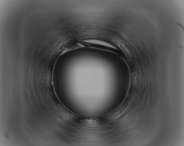 X0000091330509200708241204