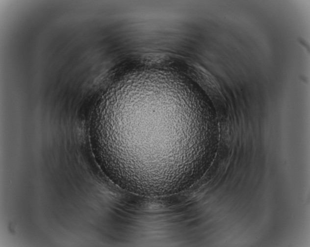 X0000091330510200708241204