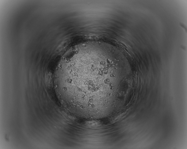 X0000091330511200708241204