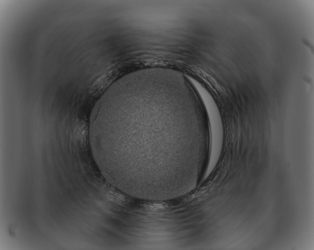 X0000091330513200708241203