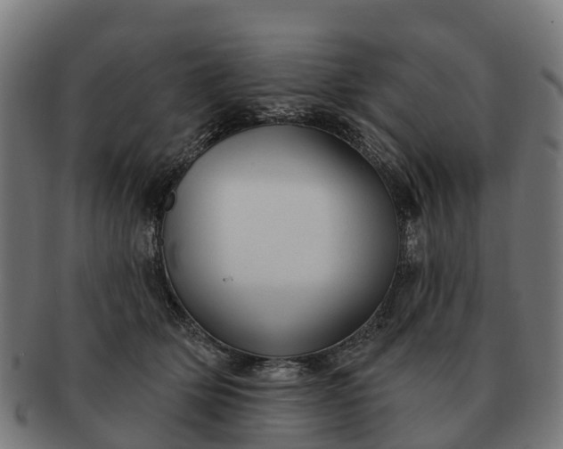 X0000091330514200708241203