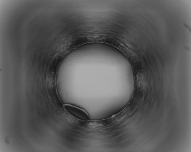 X0000091330515200708241203