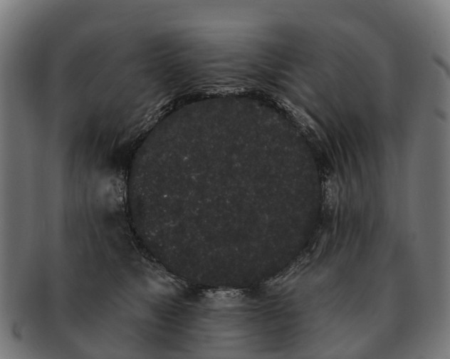 X0000091330517200708241203