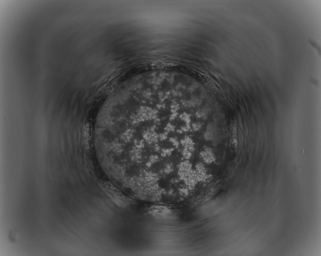 X0000091330519200708241203