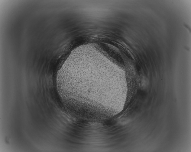 X0000091330520200708241203