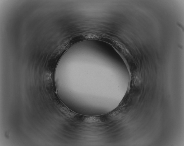 X0000091330521200708241203