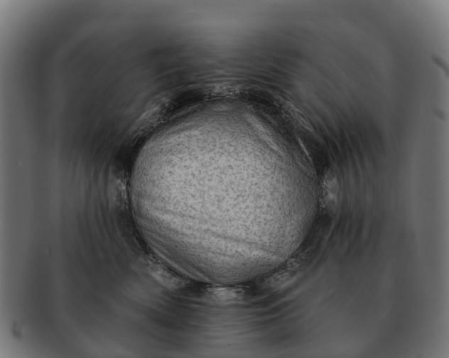 X0000091330522200708241203