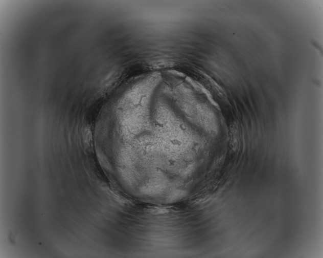 X0000091330523200708241203