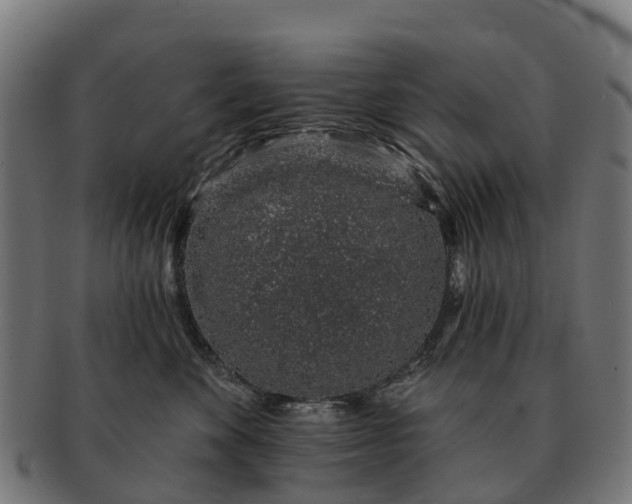 X0000091330524200708241203