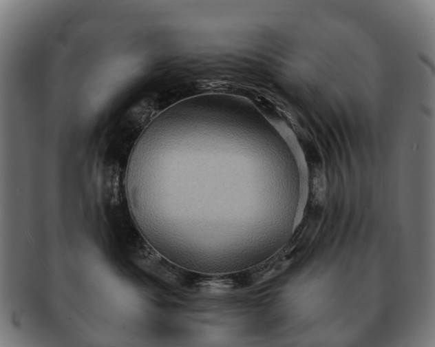 X0000091330525200708241203