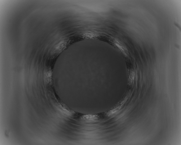 X0000091330526200708241203