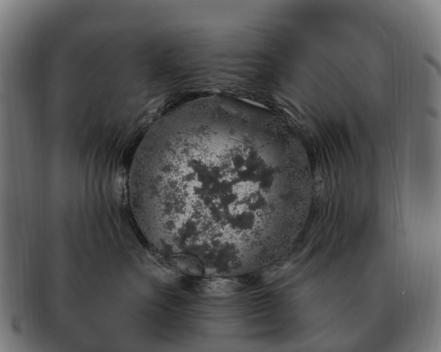 X0000091330527200708241203