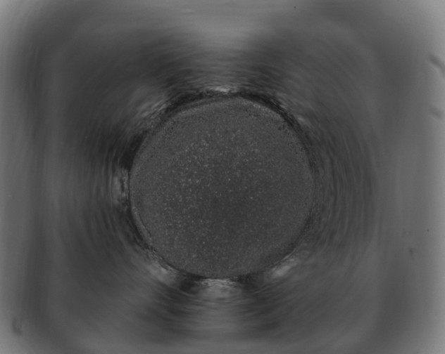 X0000091330528200708241203