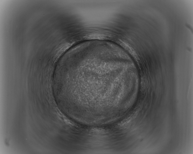 X0000091330529200708241202