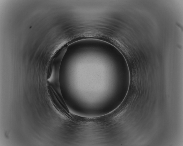 X0000091330530200708241202