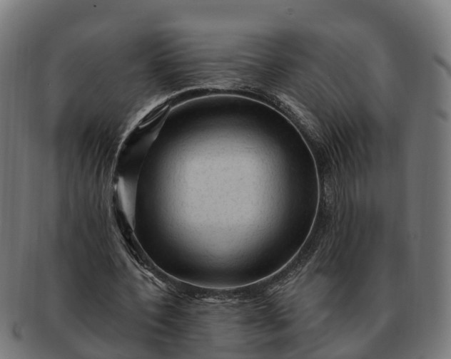 X0000091330532200708241203