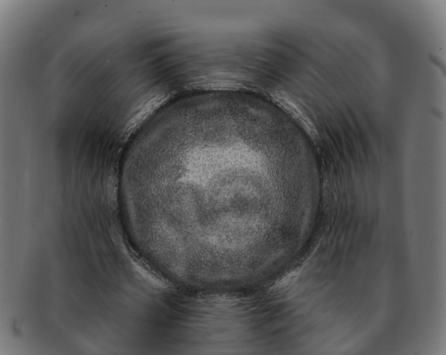 X0000091330533200708241203