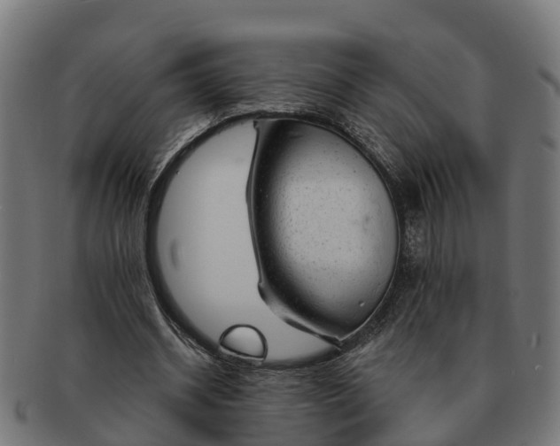 X0000091330534200708241203