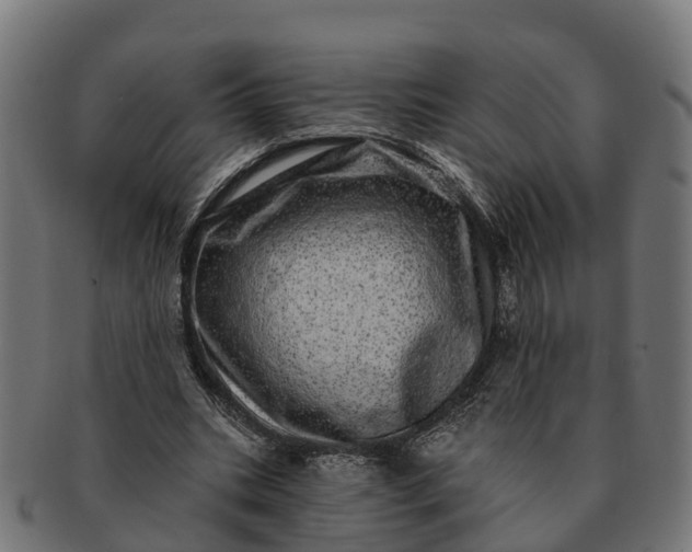 X0000091330535200708241203