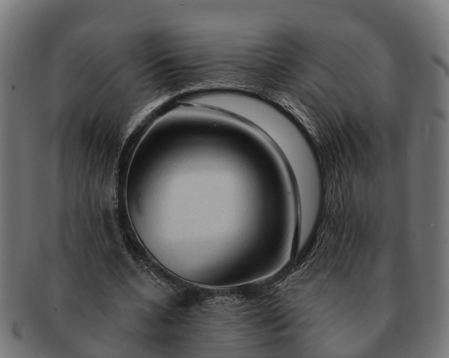 X0000091330536200708241203