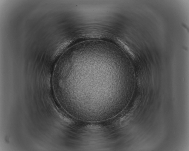 X0000091330537200708241203