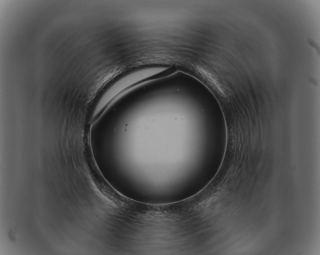 X0000091330538200708241203