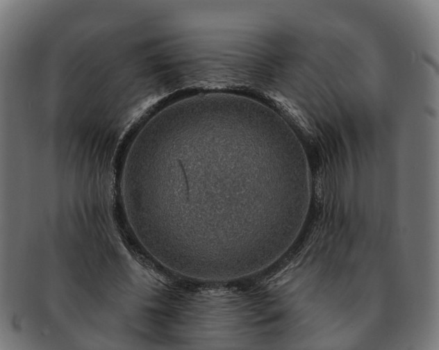 X0000091330540200708241203