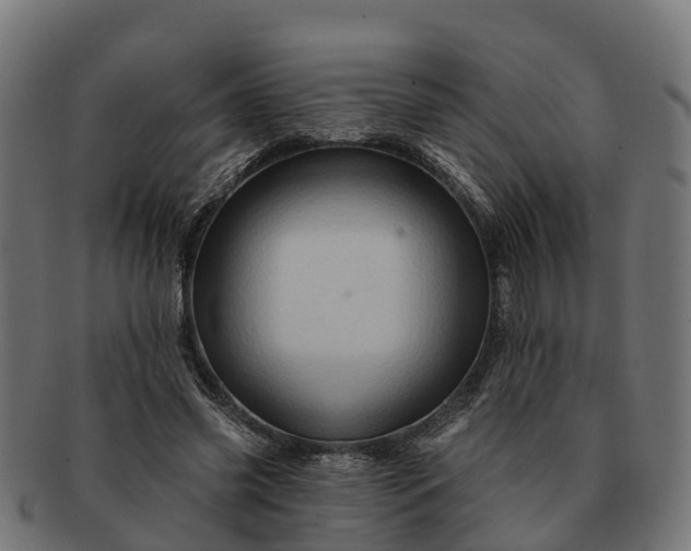 X0000091330541200708241203