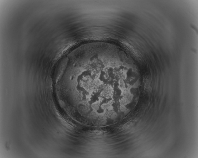 X0000091330542200708241203