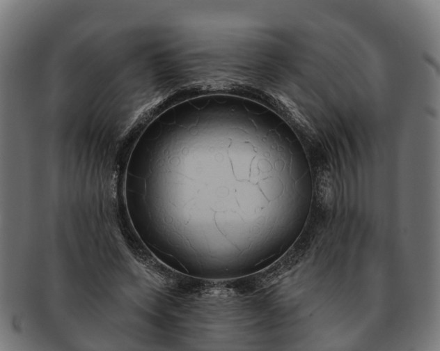 X0000091330543200708241203