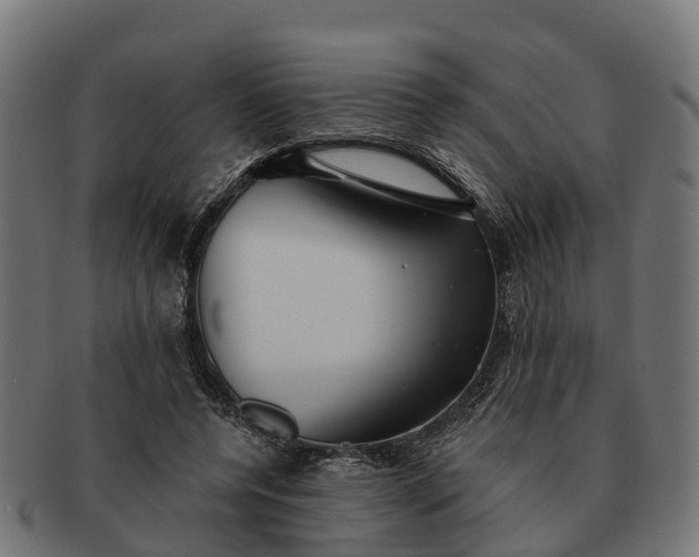 X0000091330544200708241203