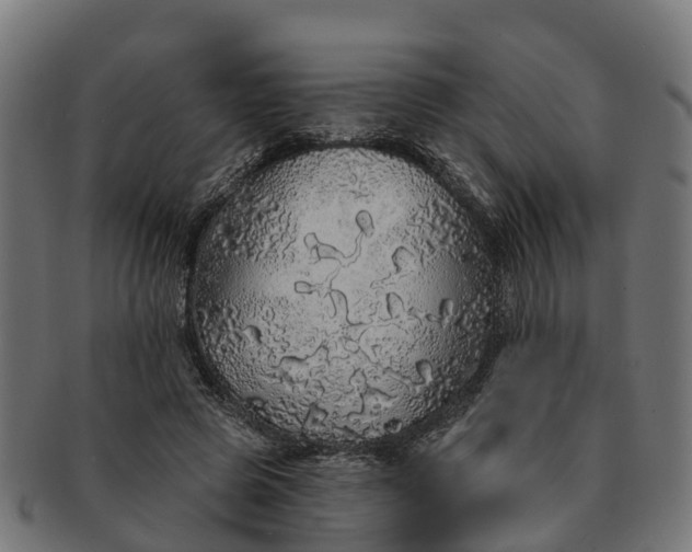 X0000091330545200708241203