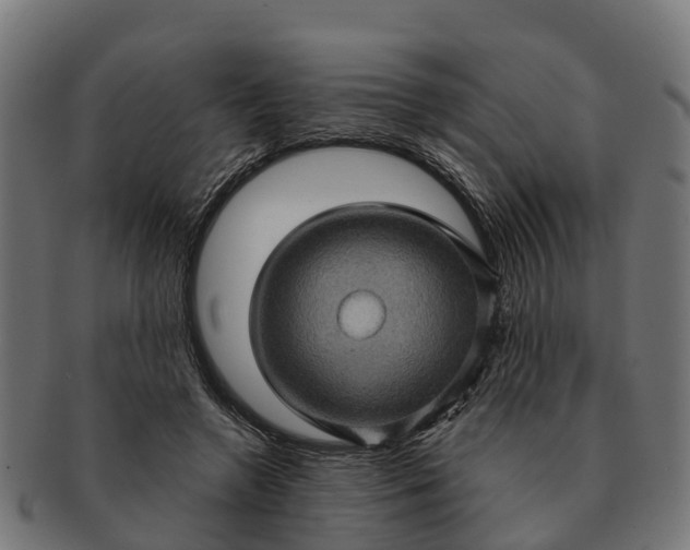 X0000091330546200708241203