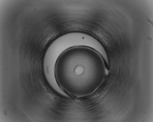 X0000091330547200708241203